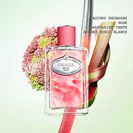 Les Infusions Unisex Collection | Prada Beauty Official Site